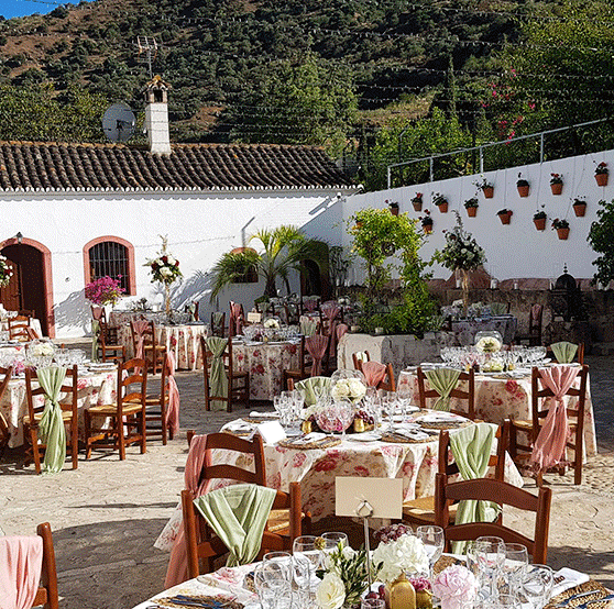 Cortijo San Antonio